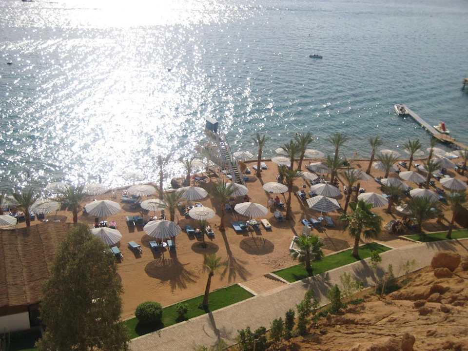 Пляж Albatros Sharm Resort