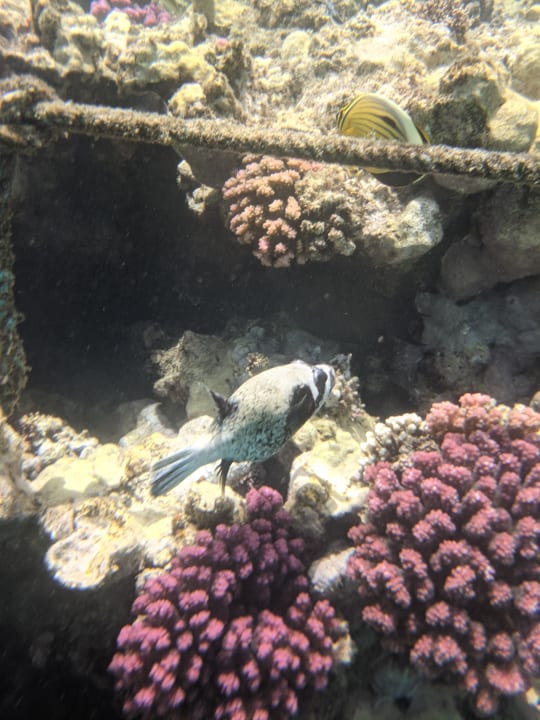 Sport & Freizeit Brayka Bay Resort