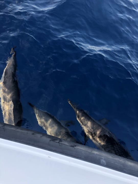 Sport & Freizeit Cinnamon Dhonveli Maldives