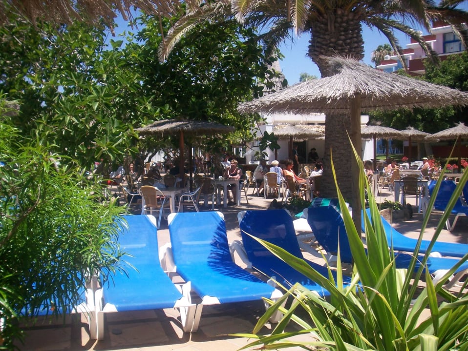Hinter meiner Liege die Poolbar  SBH Fuerteventura Playa