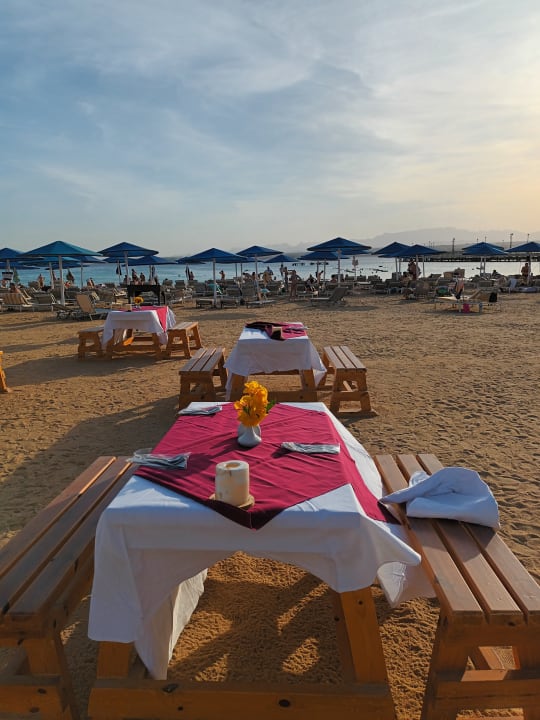 Gastro Pyramisa Beach Resort Sahl Hasheesh
