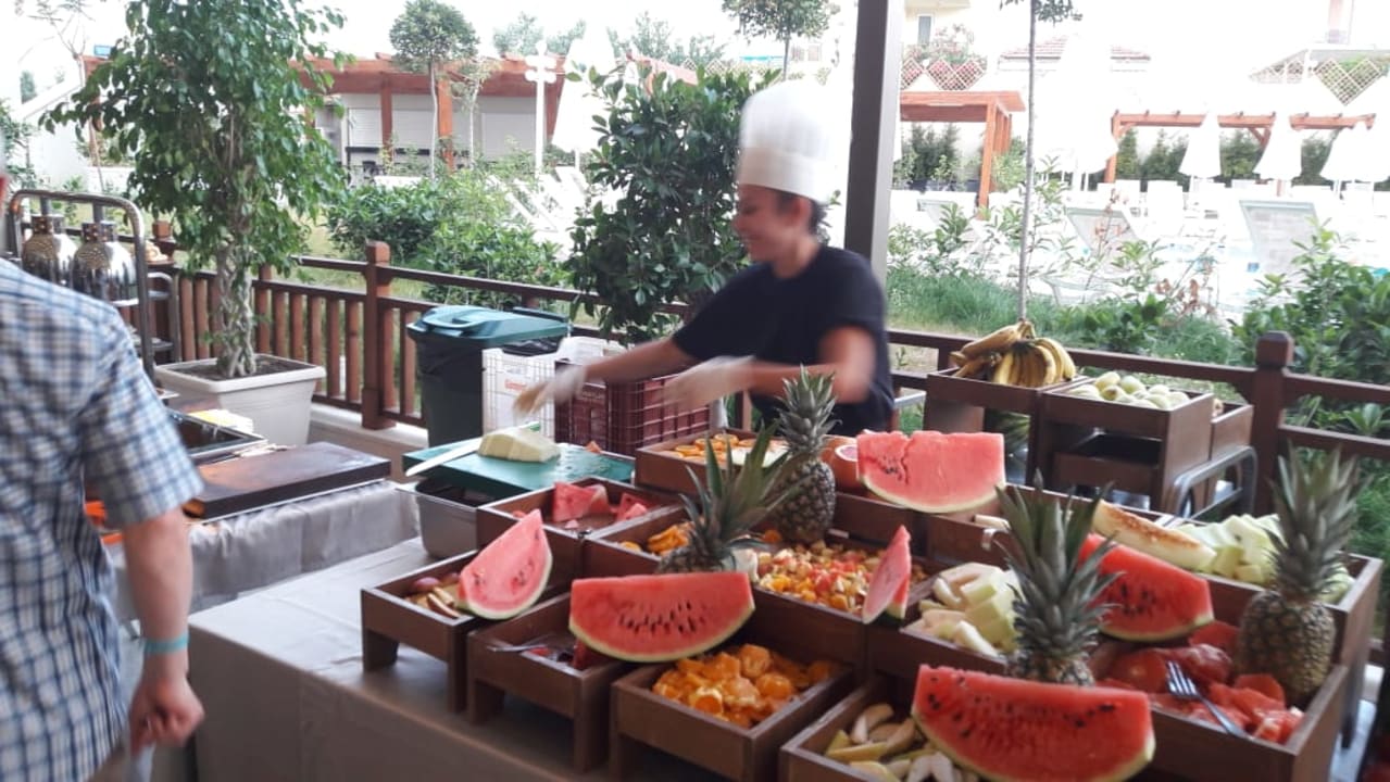 Viel Vitamine! Seashell Vega