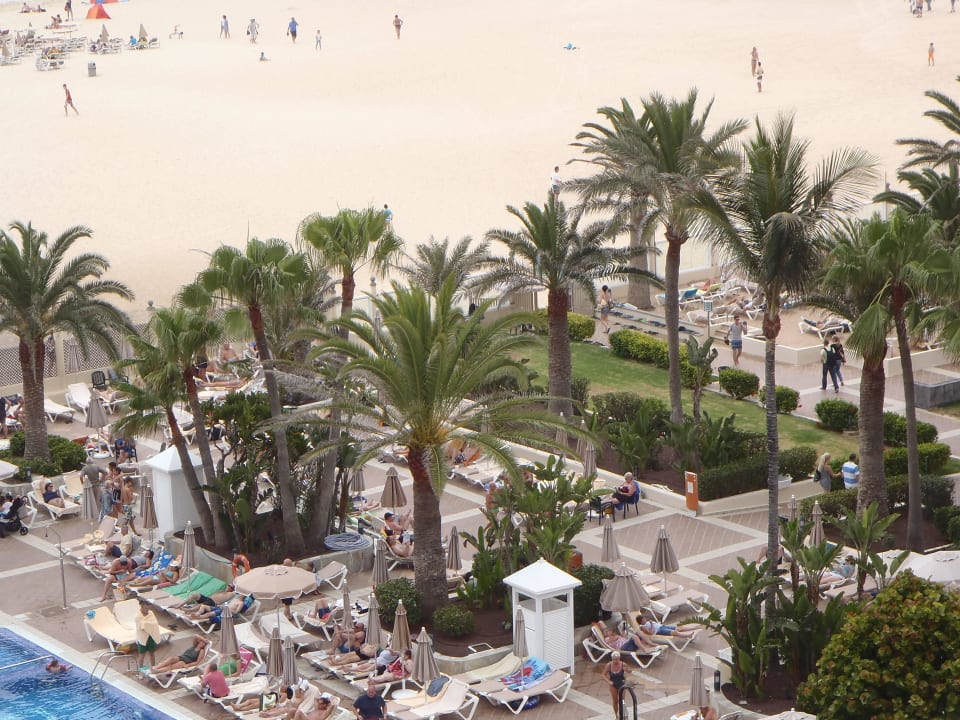 Pool und Gartenanlage Hotel Riu Oliva Beach - Hotel