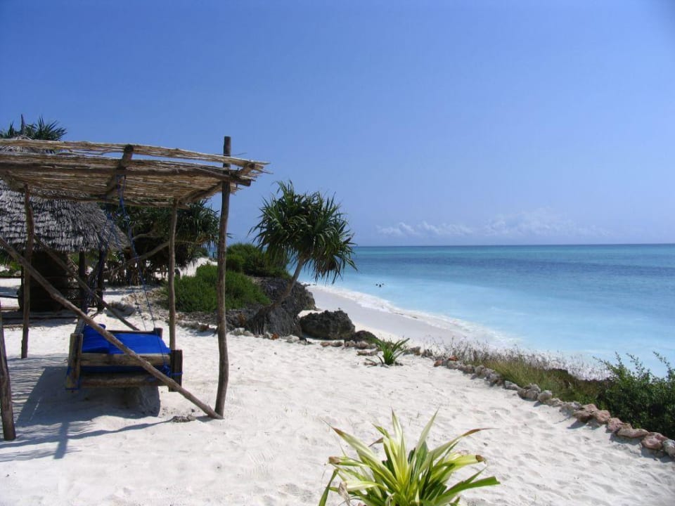 Hotel beach Hotel The Zanzibari