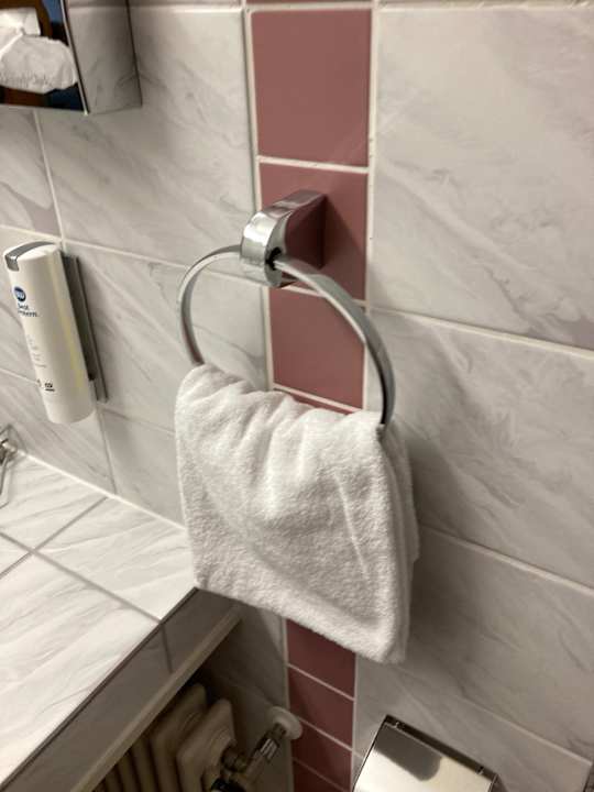 Zimmer Best Western Parkhotel Brehna - Halle