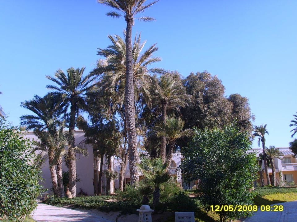 Zita brach resort Zita Beach Resort