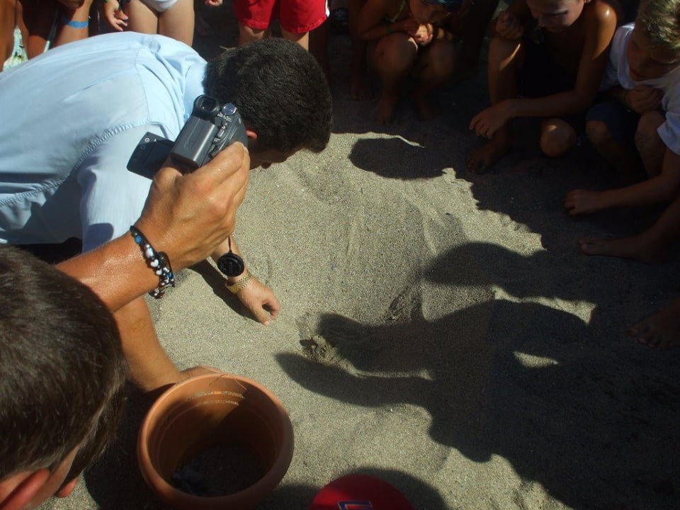 Carette TUI KIDS CLUB Felicia Village