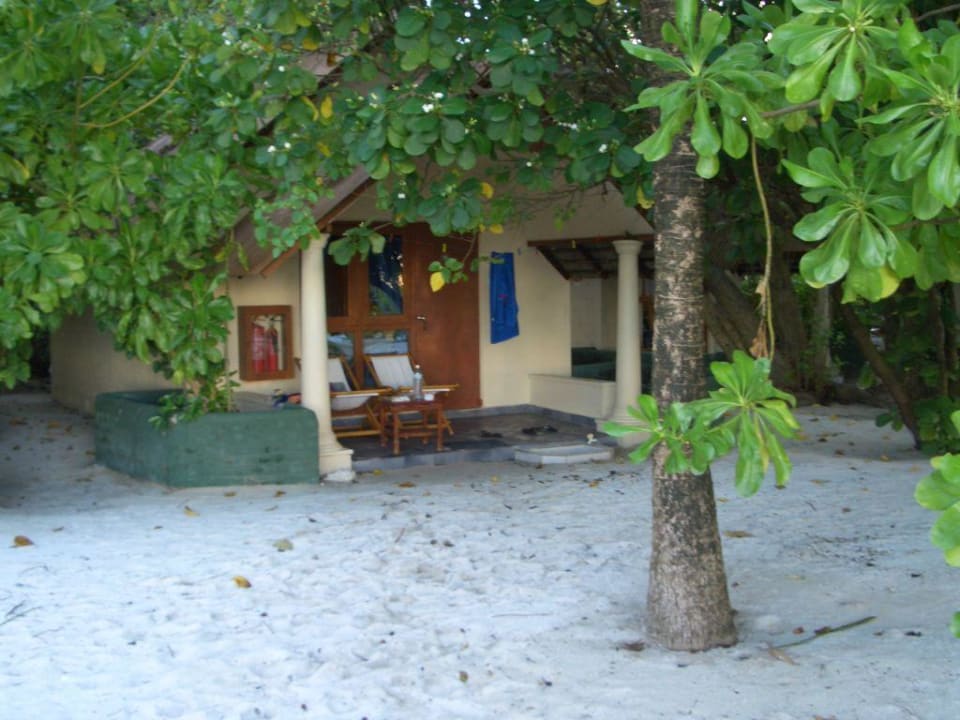 Bungalow Summer Island Maldives