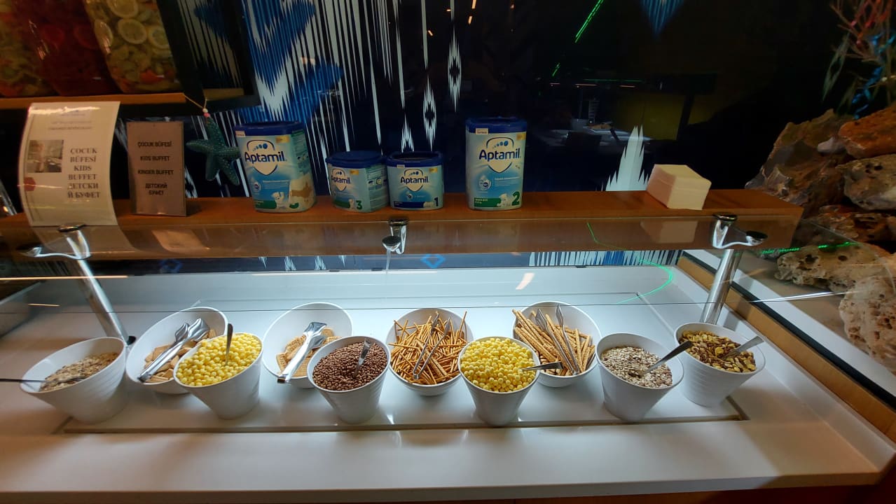 Gastro Maxeria Blue Didyma