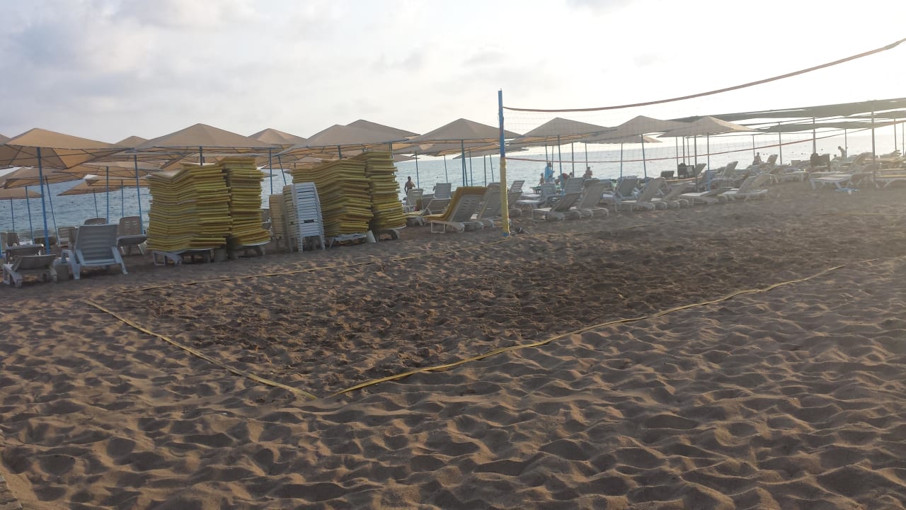 Beach Volleyball Asteria Collection Side