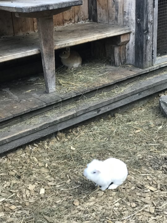 Sonstiges Feriendorf Holzleb'n