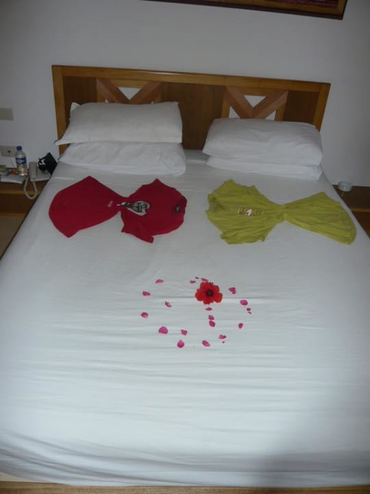 Dankeschön der Putzfrau The Orangers Beach Resort and Bungalows