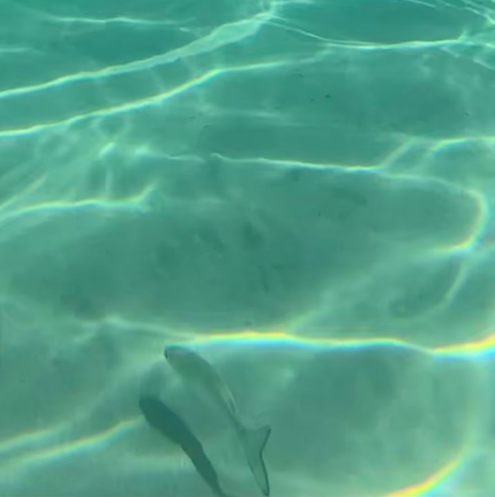 Strand Hotel Albatros