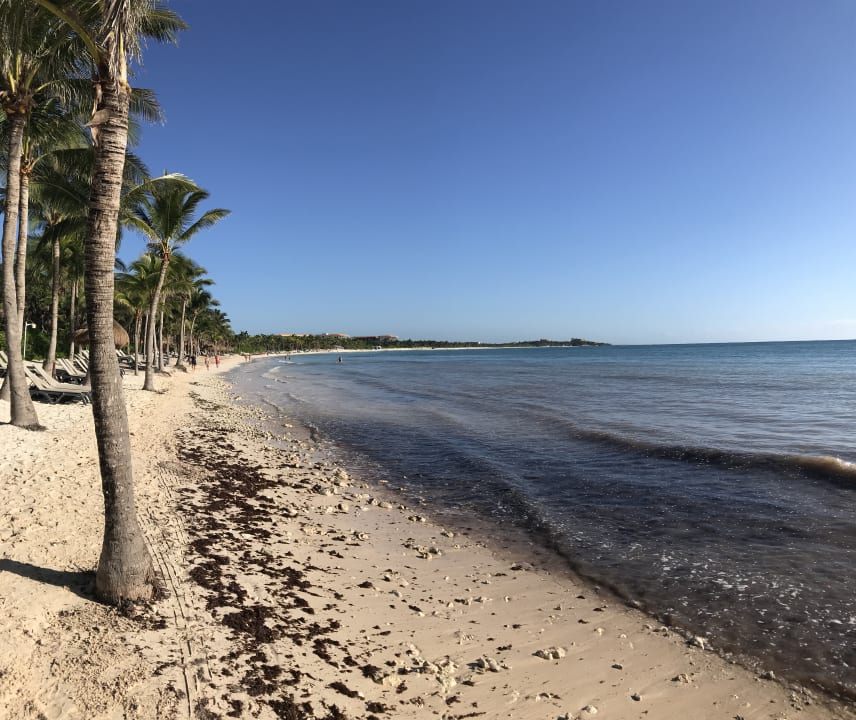 Strand TRS Yucatan Hotel - Adults only