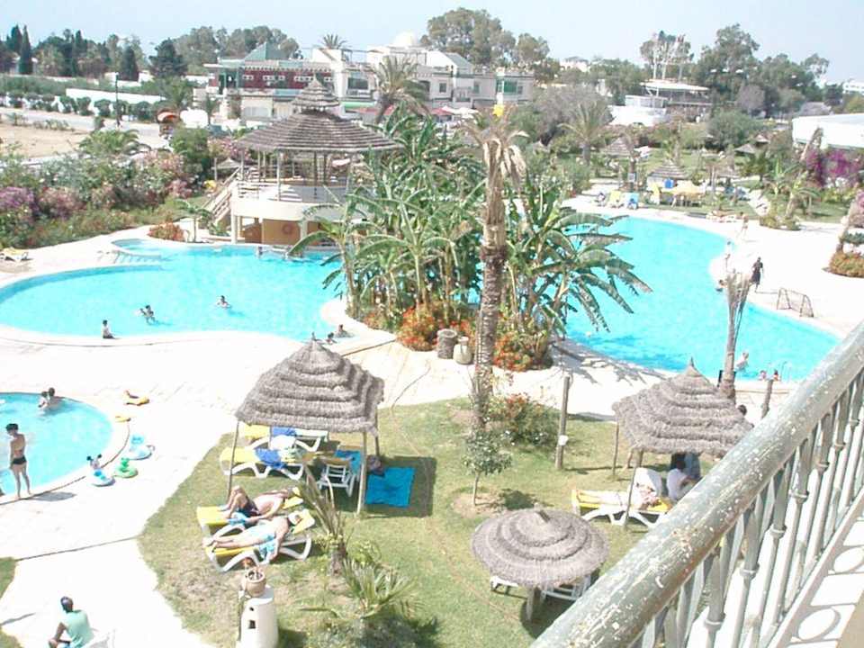 Pool Hotel African Queen