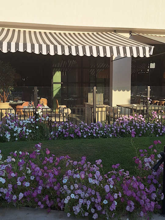 Gartenanlage Desert Rose