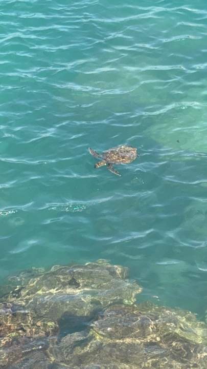 Strand Meliá Dunas Beach Resort & Spa