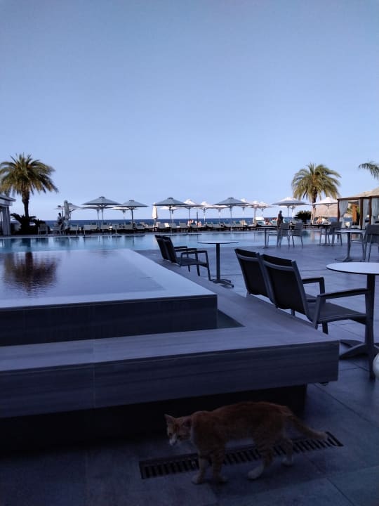 Pool TUI BLUE Lindos Bay