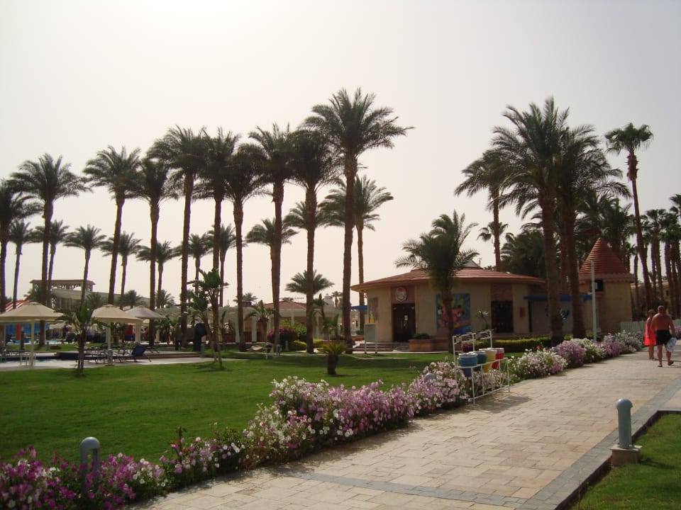 Gartenanlage Beach Albatros Resort