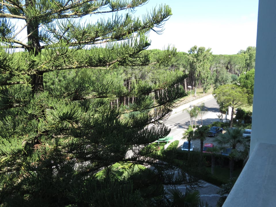 Aussicht aus Zimmer 313 Hotel Le Palme