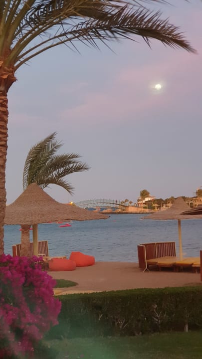 Ausblick Desert Rose