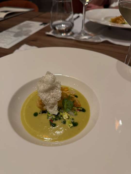 Gastro Paloma Finesse