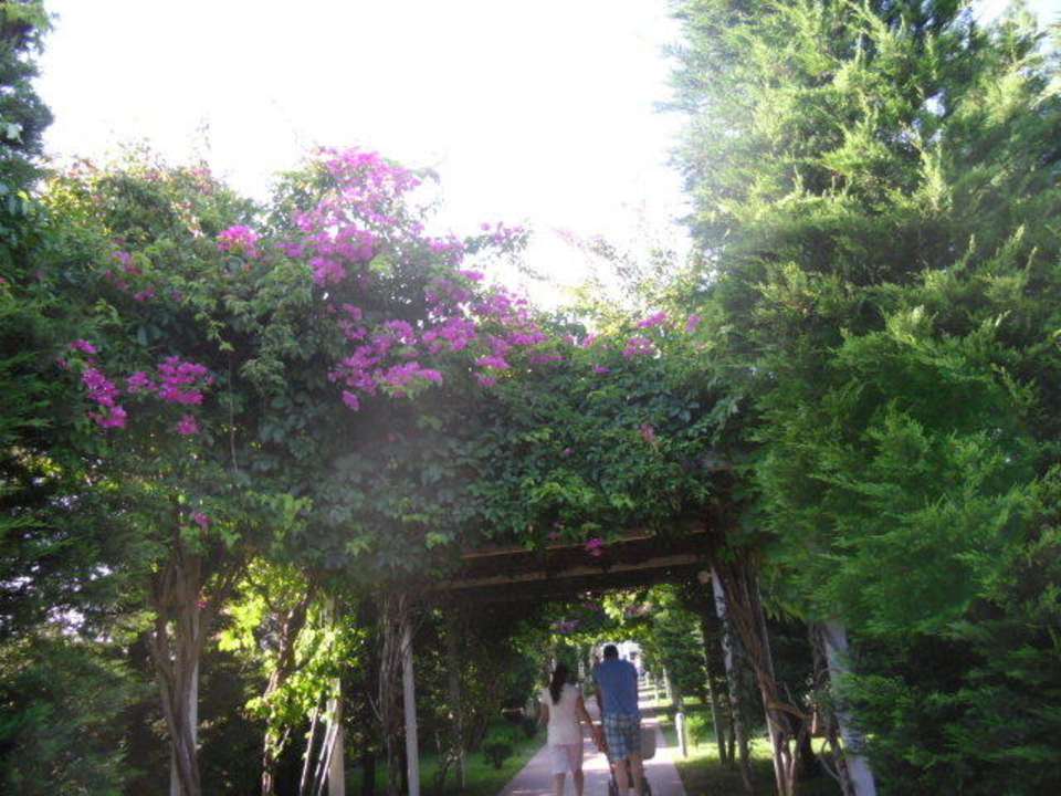 Der weg zum Strand mit musik Saturn Palace Resort Hotel