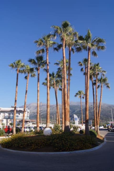 Przed hotelem allsun Hotel Carolina Mare