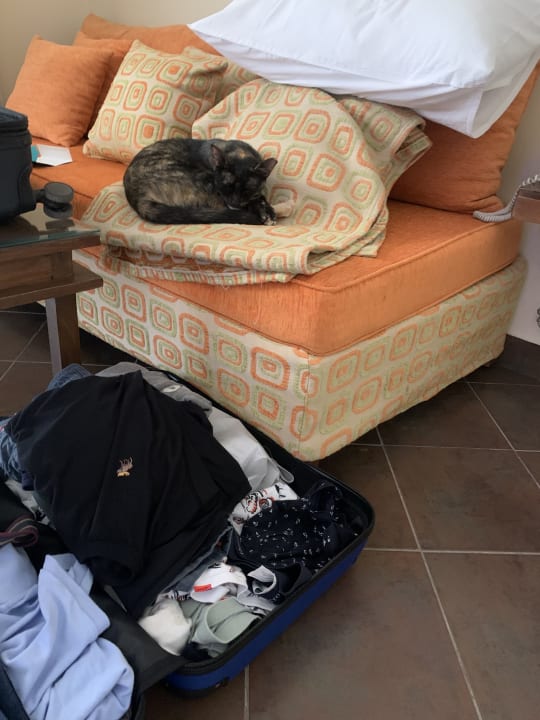 Zimmer Iberotel Casa Del Mar Resort