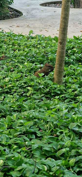 Sport & Freizeit Iberostar Waves Paraiso del Mar