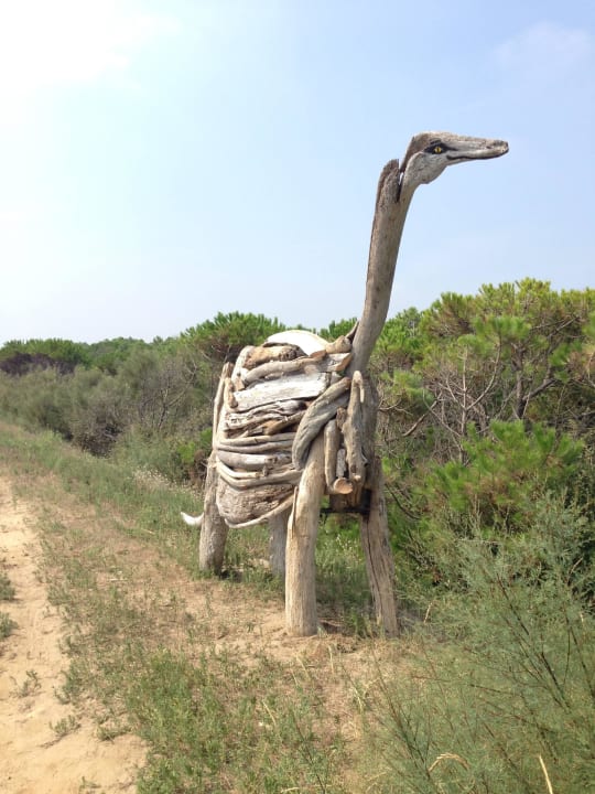 Treibholzfiguren Club Village & Hotel Spiaggia Romea