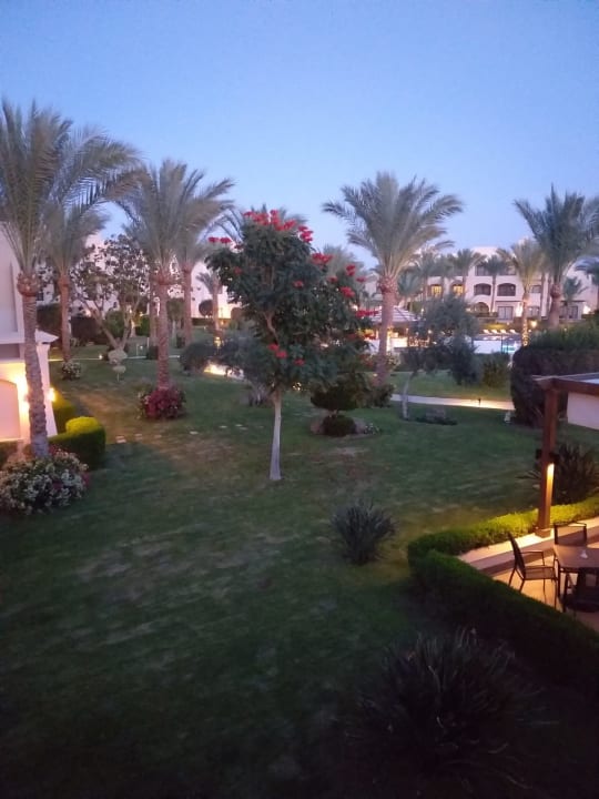 Ausblick JAZ Neo Saraya Palms