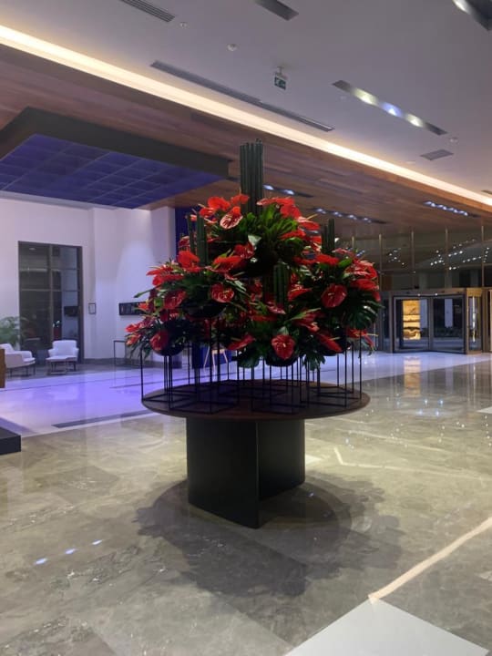 Lobby Acanthus Cennet Barut Collection