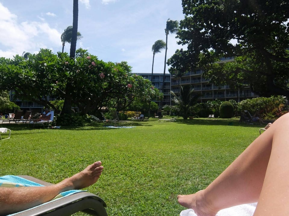 Liegewiese des Hotels  Kaanapali Beach Hotel