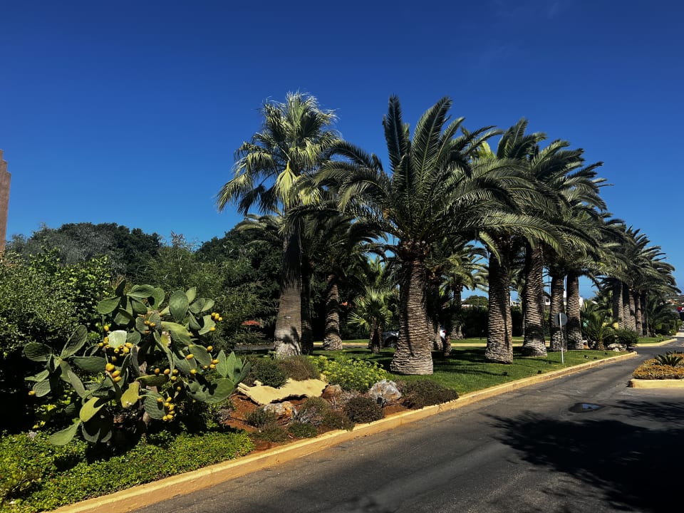 Gartenanlage Anissa Beach & Village