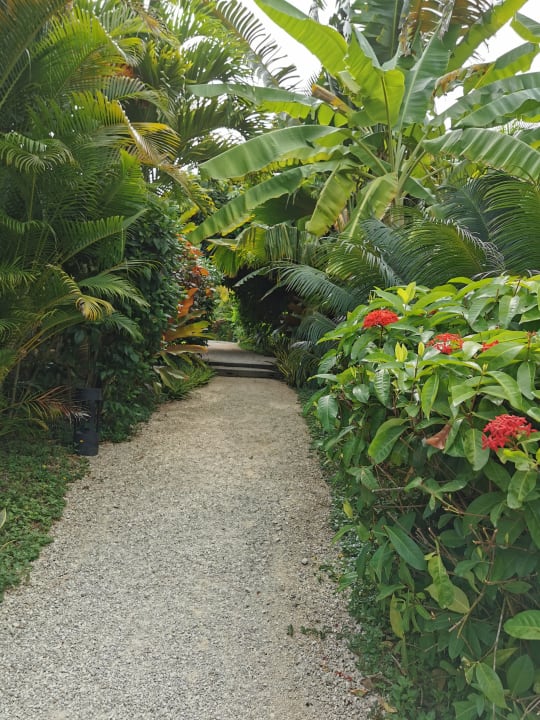 Gartenanlage Zuri Zanzibar Hotel & Resort