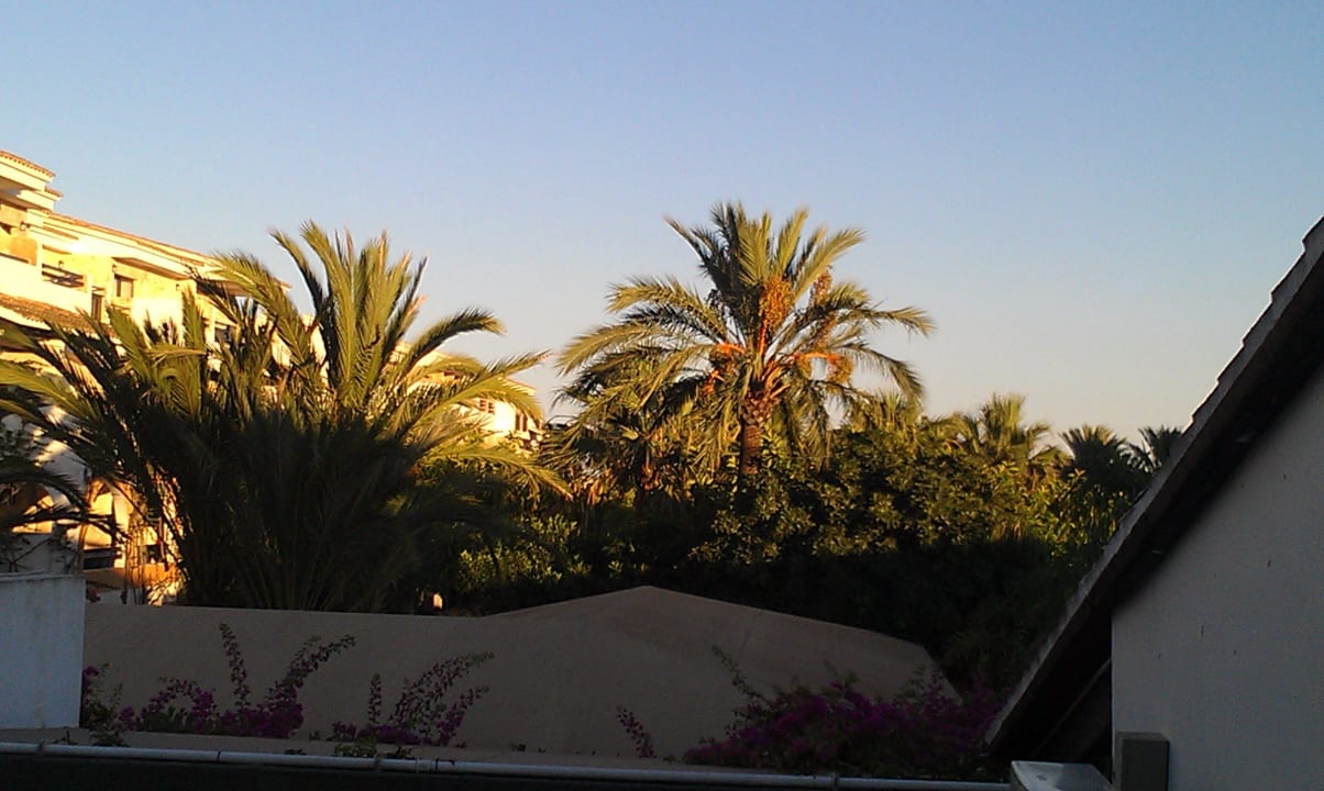 Rechts vom Balkon FERGUS Style Bahamas