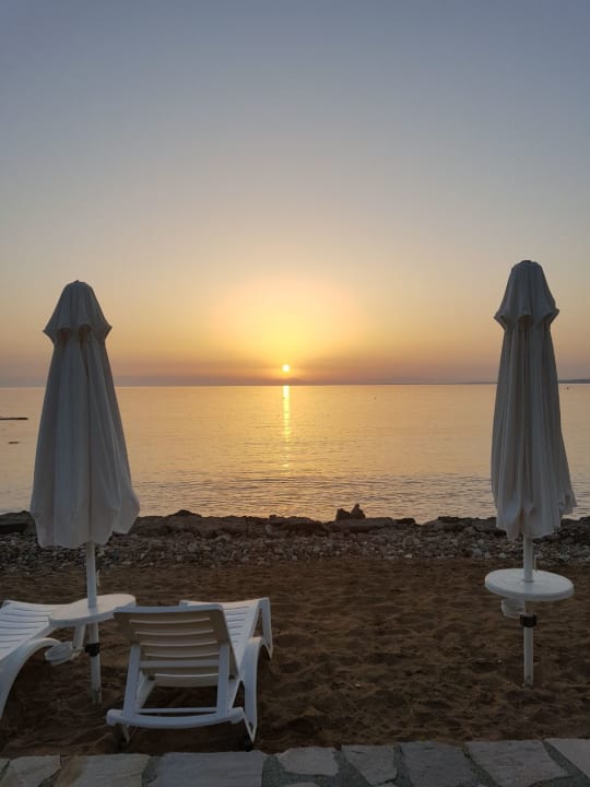 Strand Arum Barut Collection