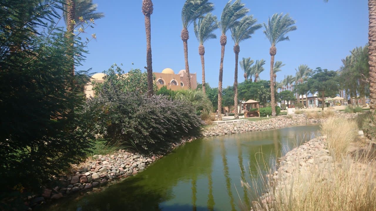 Gartenanlage Makadi Palace