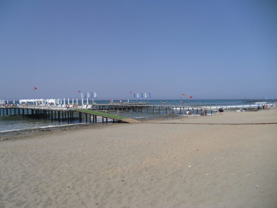 Strand Dizalya Palm Garden