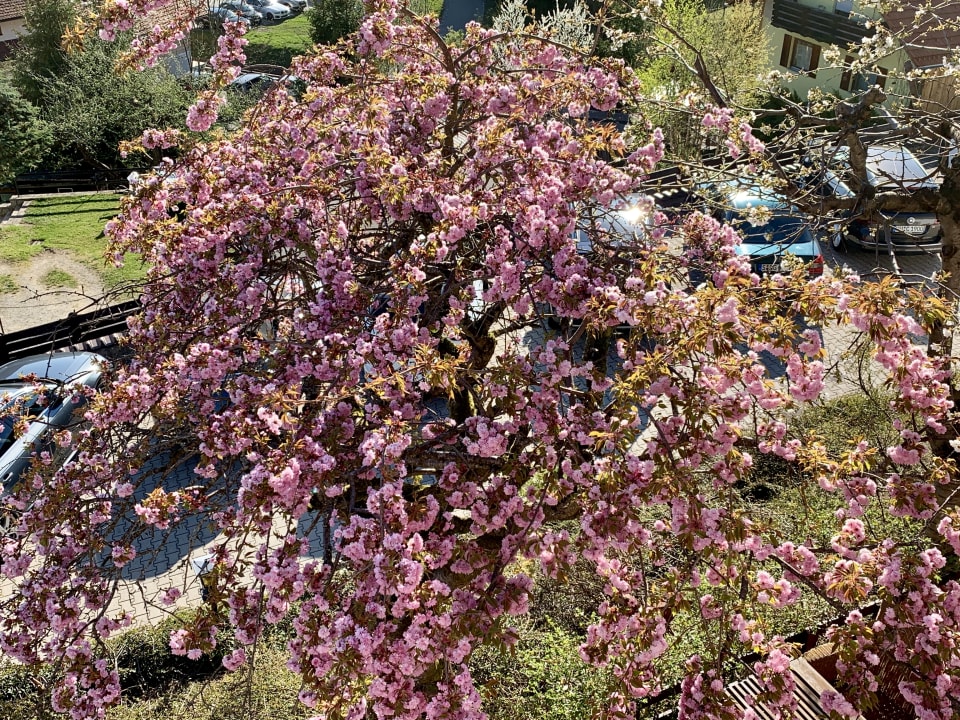 Gartenanlage Landhaus Meine Auszeit
