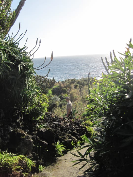 Schön angelegter Garten Caloura Hotel Resort
