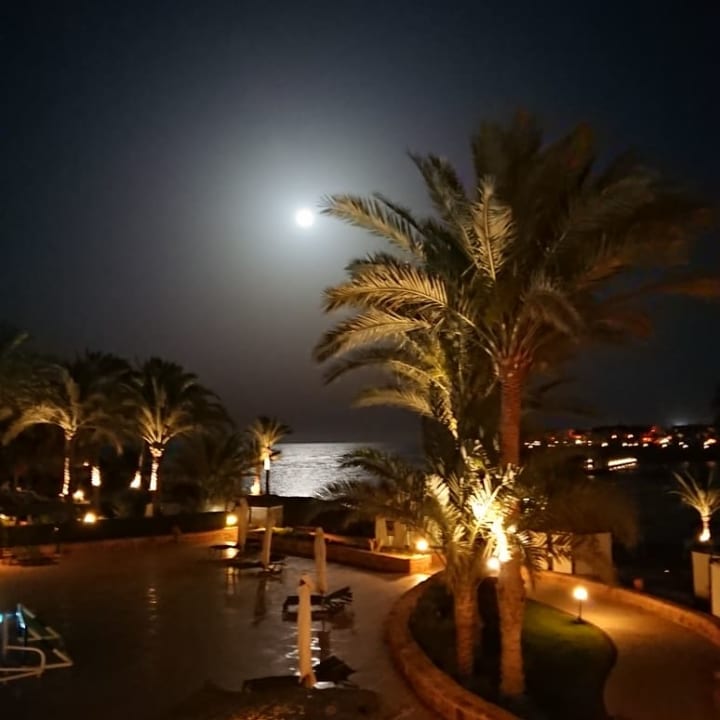 Ausblick Steigenberger Coraya Beach - Adults only