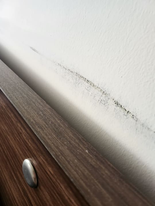 Zimmer Hawaii Suite Beach Hotel