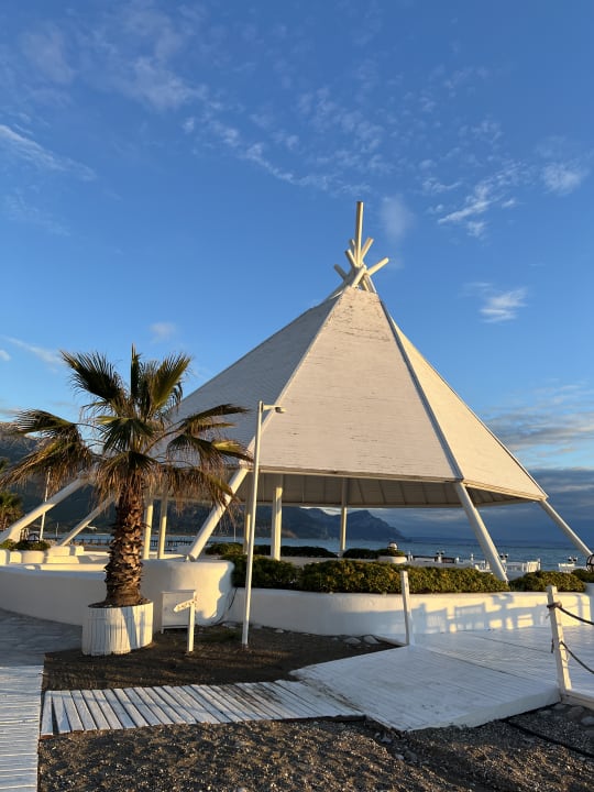 Strand Balmy Foresta