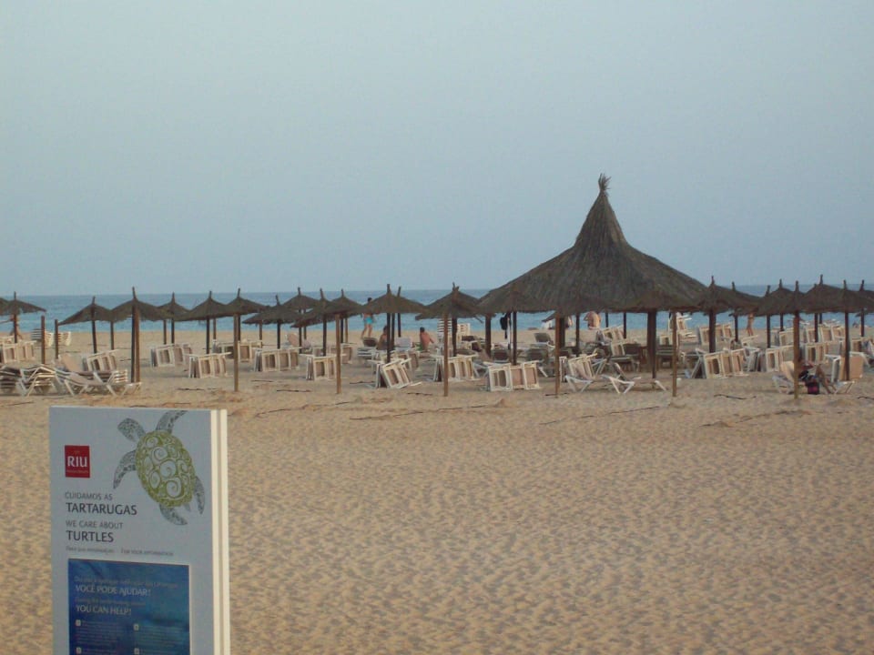 Strand Hotel Riu Touareg