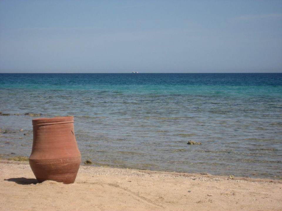 Widok na morze Palm Beach Resort
