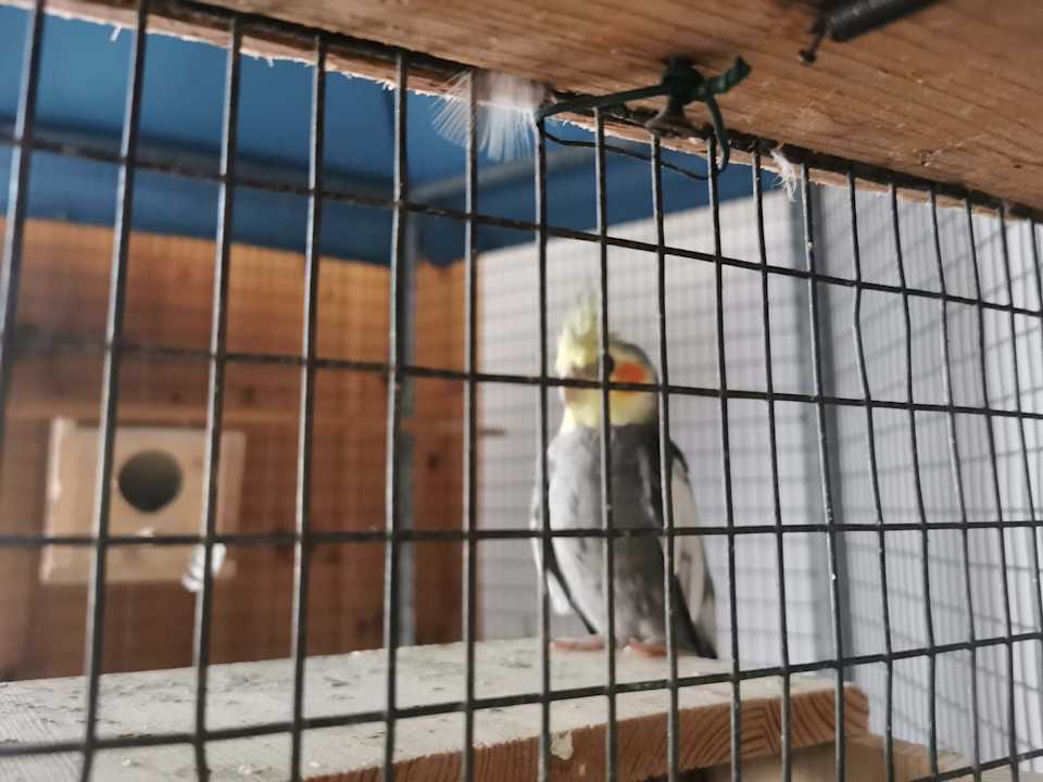 Sonstiges Pension Alla Pineta