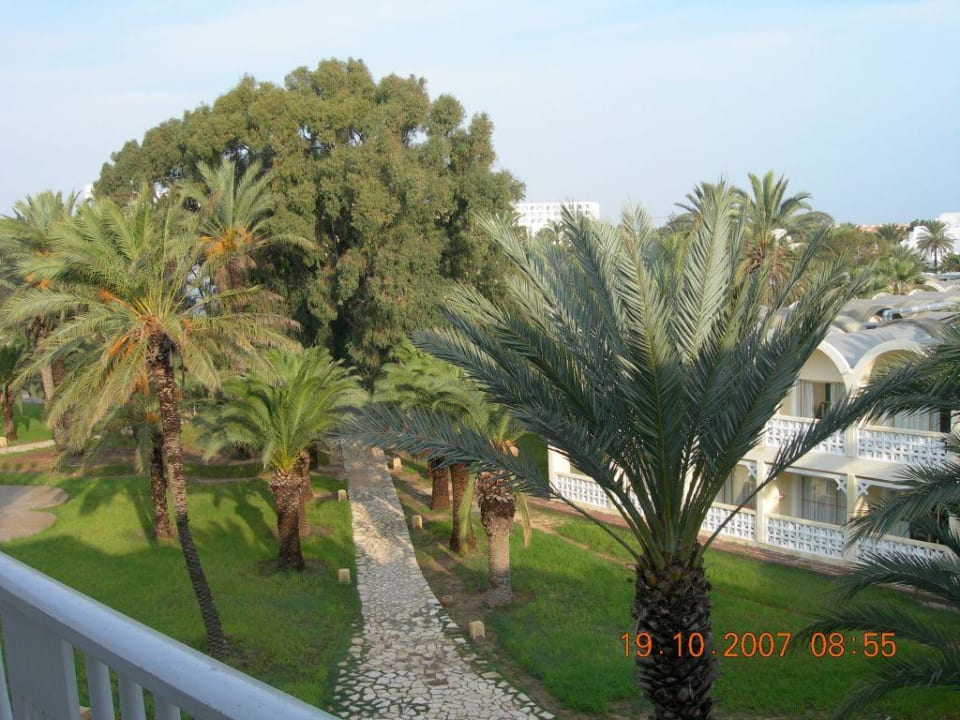 Ogród Hotel Marhaba Club