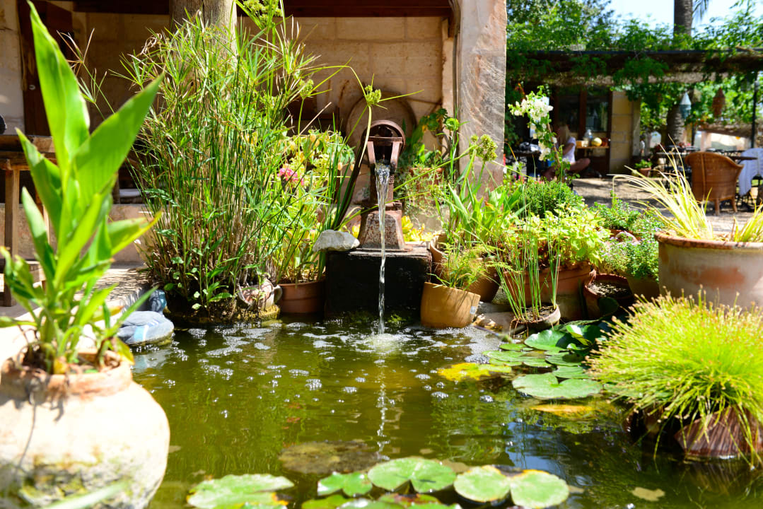 Gartenanlage Agroturismo Finca Sant Blai